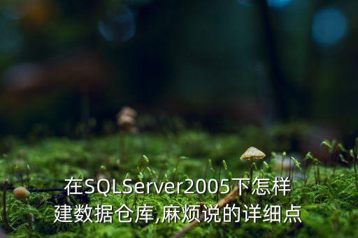 在SQLServer2005下怎樣建數(shù)據(jù)倉(cāng)庫(kù),麻煩說(shuō)的詳細(xì)點(diǎn)