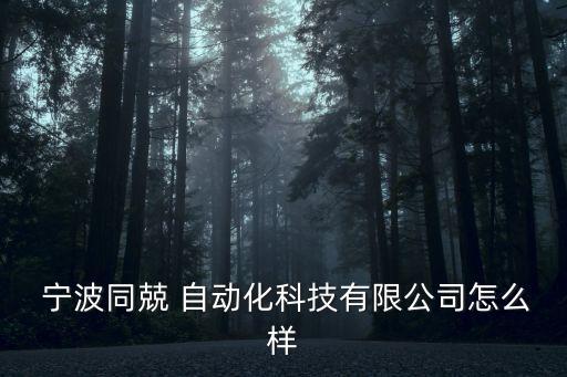  寧波同兢 自動(dòng)化科技有限公司怎么樣