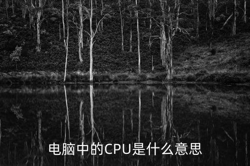 電腦中的CPU是什么意思