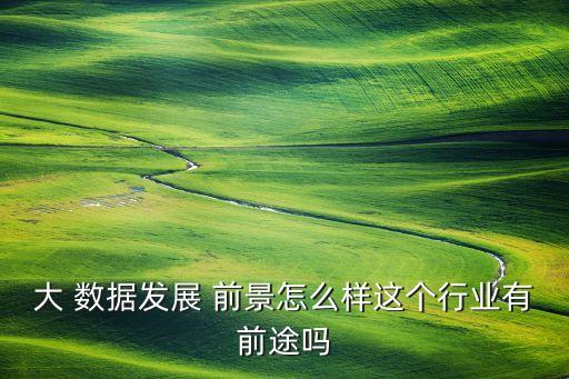大 數(shù)據(jù)發(fā)展 前景怎么樣這個(gè)行業(yè)有前途嗎