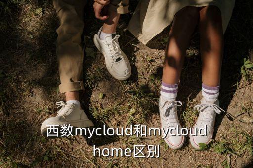 西數(shù)mycloud和mycloudhome區(qū)別