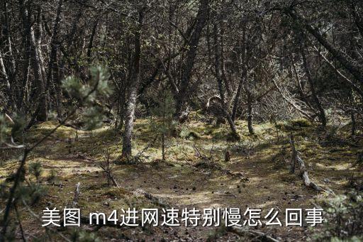 美圖m4數(shù)據(jù)連接不了