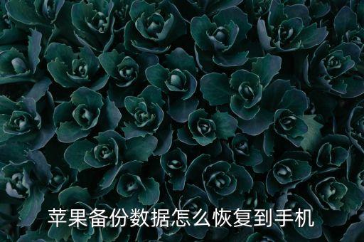 蘋果備份數(shù)據(jù)怎么恢復(fù)到手機(jī)