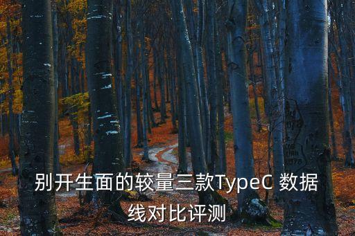 數(shù)據(jù)線結(jié)構(gòu),typec數(shù)據(jù)線結(jié)構(gòu)