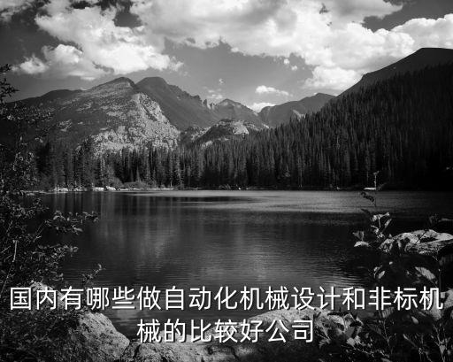 國內有哪些做自動化機械設計和非標機械的比較好公司