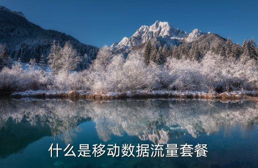 什么是移動數(shù)據(jù)流量套餐