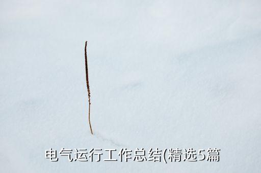  電氣運行工作總結(精選5篇