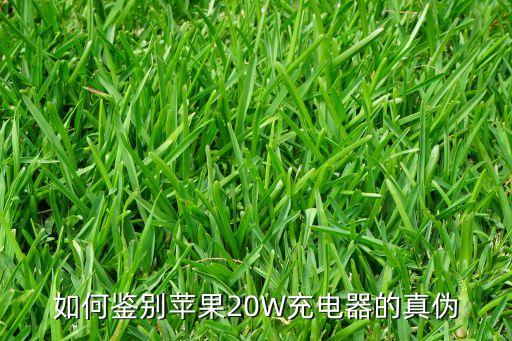 真假蘋果數(shù)據(jù)線,蘋果數(shù)據(jù)線怎么辨別真假?看這里!