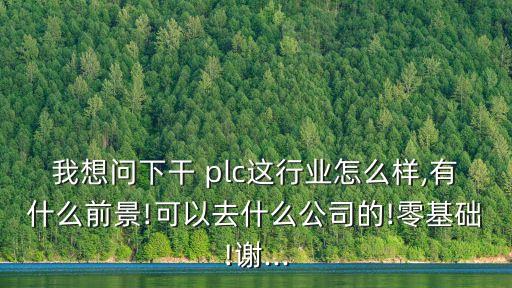 我想問下干 plc這行業(yè)怎么樣,有什么前景!可以去什么公司的!零基礎(chǔ)!謝...