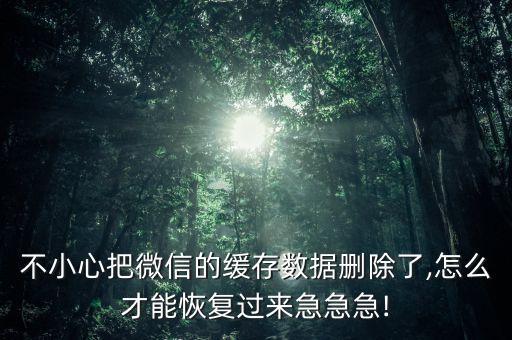微信清除數(shù)據(jù)如何恢復(fù),微信數(shù)據(jù)被刪或刪除怎么恢復(fù)?