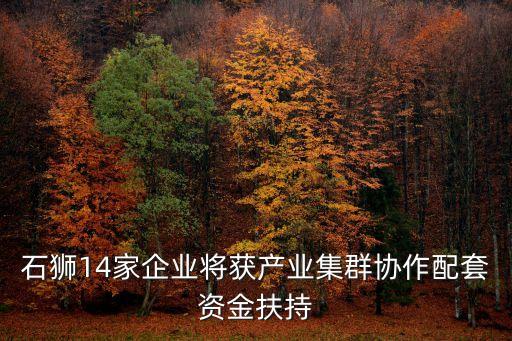 石獅14家企業(yè)將獲產(chǎn)業(yè)集群協(xié)作配套資金扶持