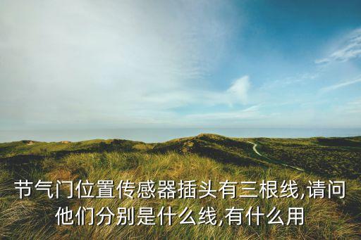節(jié)氣門位置傳感器插頭有三根線,請問他們分別是什么線,有什么用