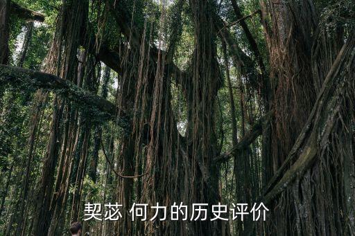 何力,唐朝名將契何力的評(píng)價(jià):此人心如鐵石必不背我