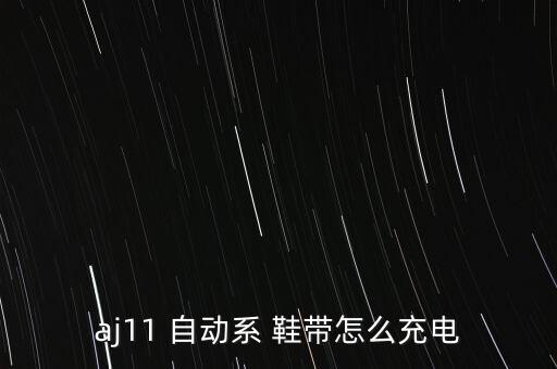 aj11 自動系 鞋帶怎么充電