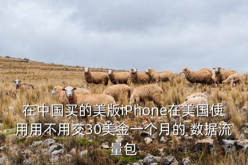 在中國買的美版iPhone在美國使用用不用交30美金一個(gè)月的 數(shù)據(jù)流量包