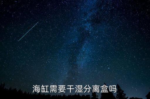 海水缸自動(dòng)化設(shè)備價(jià)格表,養(yǎng)海水魚需要什么設(shè)備?