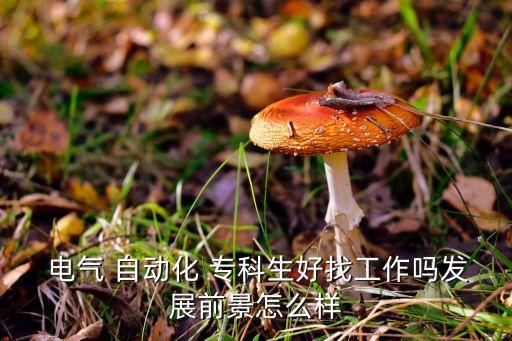  電氣 自動化 ?？粕谜夜ぷ鲉岚l(fā)展前景怎么樣