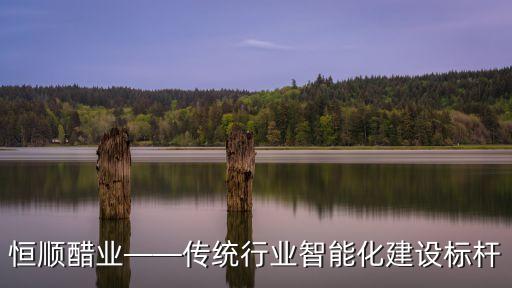 自動化釀醋設(shè)備有哪些,醬油生產(chǎn)線哪些設(shè)備能提高產(chǎn)醋率?