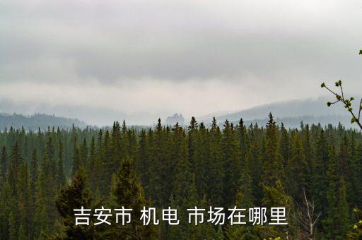 吉安市 機電 市場在哪里