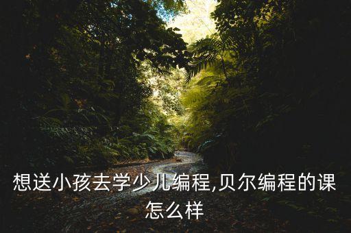 想送小孩去學少兒編程,貝爾編程的課怎么樣