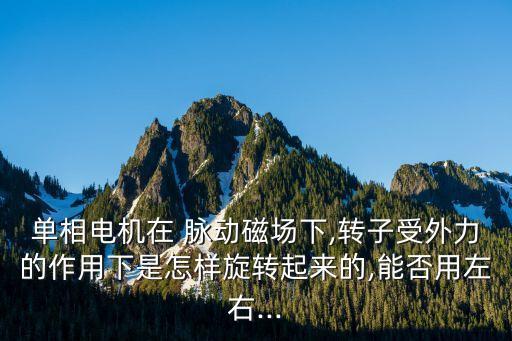 單相電機在 脈動磁場下,轉(zhuǎn)子受外力的作用下是怎樣旋轉(zhuǎn)起來的,能否用左右...