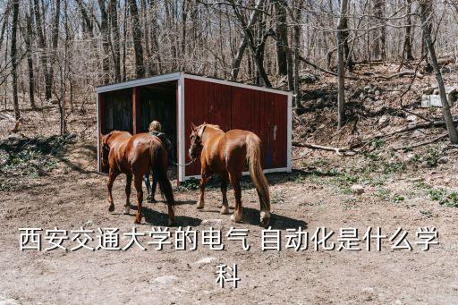 西安交通大學(xué)的電氣 自動化是什么學(xué)科