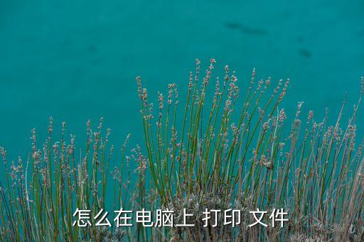 怎么在電腦上 打印 文件