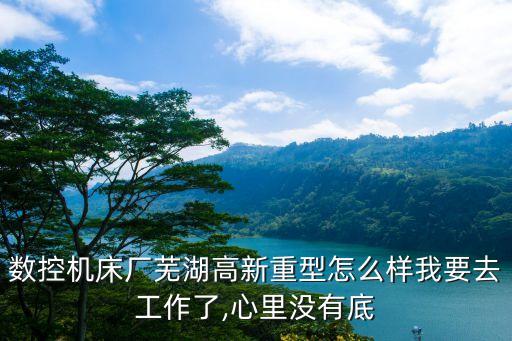 數(shù)控機床廠蕪湖高新重型怎么樣我要去工作了,心里沒有底