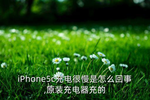 iPhone5c充電很慢是怎么回事,原裝充電器充的