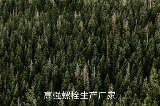 高強(qiáng)螺栓生產(chǎn)廠家