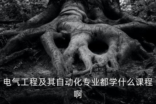 電氣工程及其自動化專業(yè)都學(xué)什么課程啊