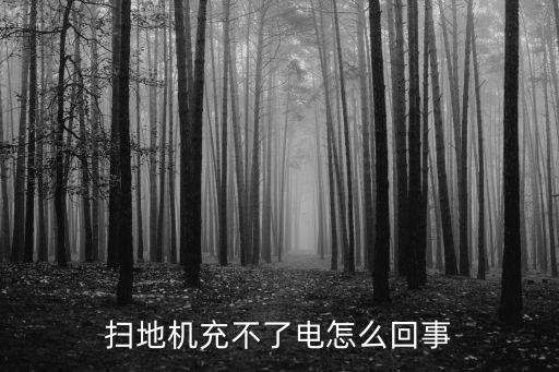 掃地機(jī)充不了電怎么回事