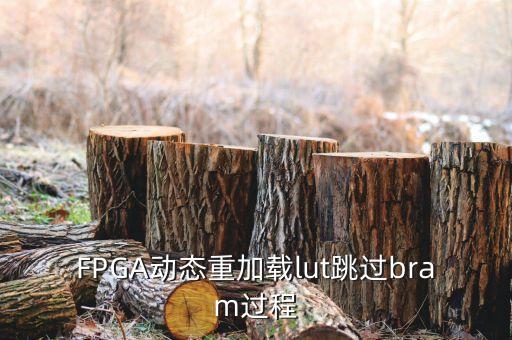 FPGA動態(tài)重加載lut跳過bram過程