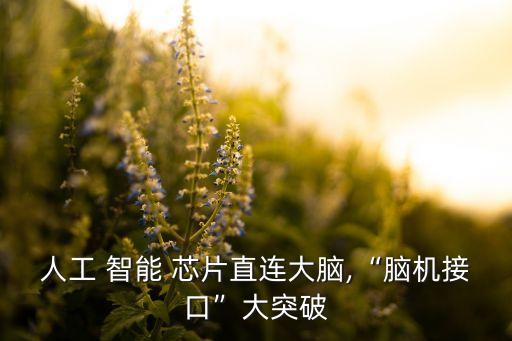 智能芯片機(jī)器人服務(wù)器,智能掃地機(jī)器人用什么芯片控制