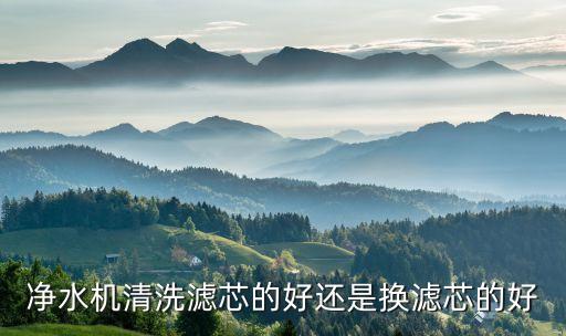凈水機(jī)清洗濾芯的好還是換濾芯的好
