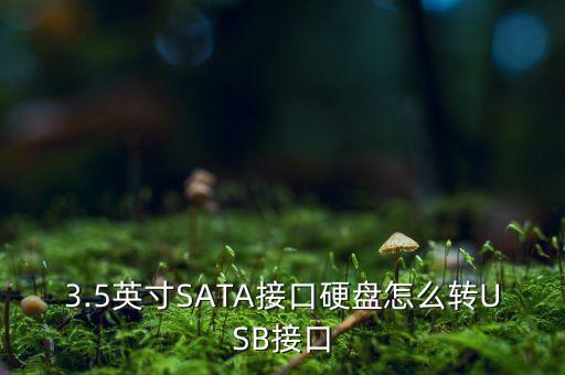 3.5英寸SATA接口硬盤(pán)怎么轉(zhuǎn)USB接口