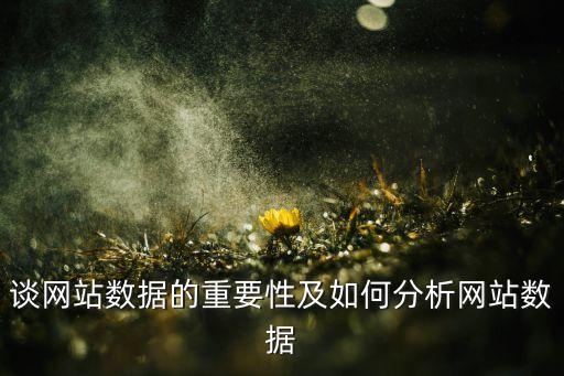 談網(wǎng)站數(shù)據(jù)的重要性及如何分析網(wǎng)站數(shù)據(jù)