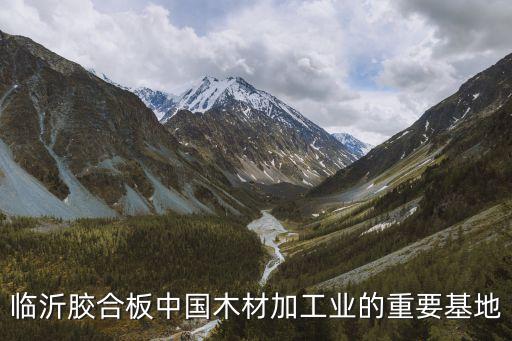 板廠排板流水線自動(dòng)化設(shè)備臨沂,自動(dòng)化流水線怎么做?