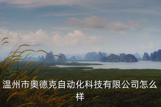 溫州最大的自動(dòng)化公司是,中國(guó)自動(dòng)化設(shè)備制造商的職業(yè)道路