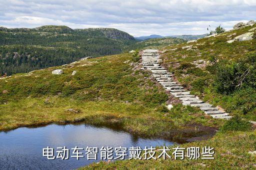電動車智能穿戴技術(shù)有哪些