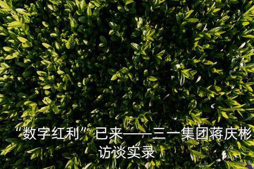 “數(shù)字紅利”已來——三一集團蔣慶彬訪談實錄