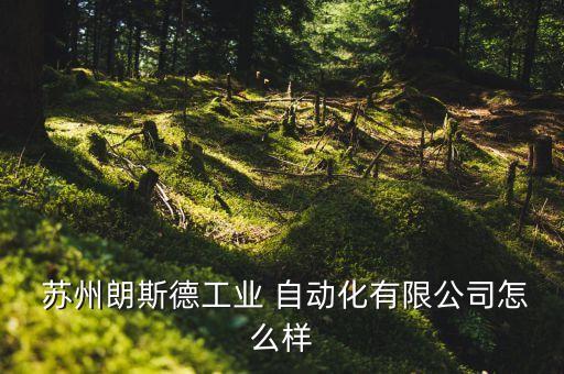  蘇州朗斯德工業(yè) 自動(dòng)化有限公司怎么樣