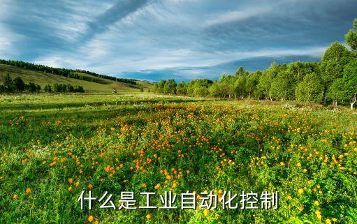 什么是工業(yè)自動(dòng)化控制