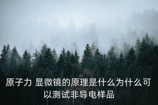 原子力 顯微鏡的原理是什么為什么可以測試非導電樣品