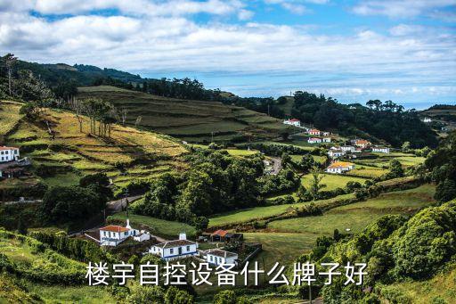 樓宇自控設(shè)備什么牌子好