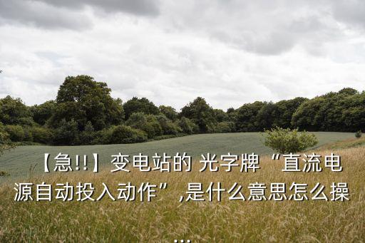 【急!!】變電站的 光字牌“直流電源自動(dòng)投入動(dòng)作”,是什么意思怎么操...