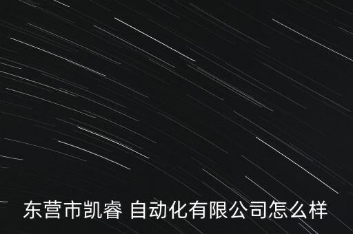 東營市凱睿 自動化有限公司怎么樣