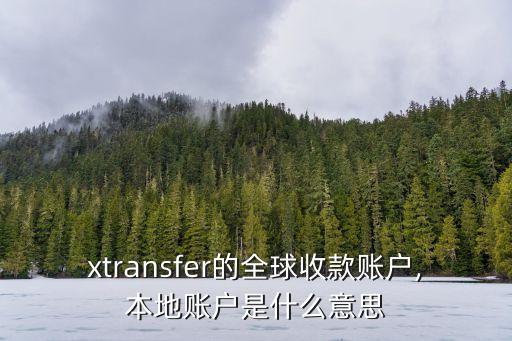 xtransfer的全球收款賬戶,本地賬戶是什么意思