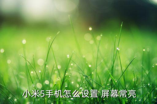 小米5屏幕自動亮,小米屏幕自動亮度忽明忽暗