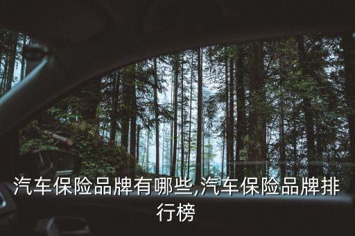 汽車保險(xiǎn)品牌有哪些,汽車保險(xiǎn)品牌排行榜
